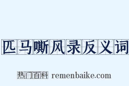 匹马嘶风录反义词是什么意思的图片
